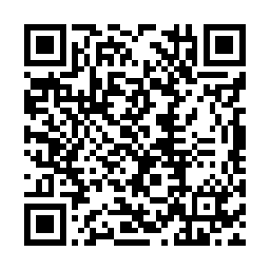期间也有不少弟子陆陆续续地从传承洞天内走出来二维码生成