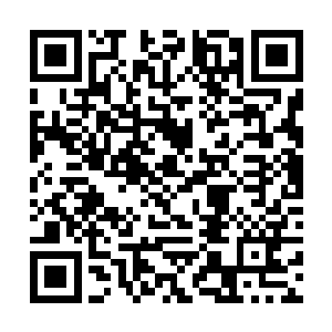 期间只有练气期的修士进入不会受到时间流逝的影响二维码生成