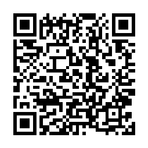 期间小胖他们四人也将自己这些年的经历慢慢的说了出来二维码生成