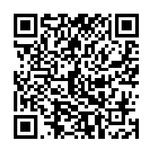 期间连碧落关提前布置在这乾坤洞天的几处法阵也没有动用二维码生成