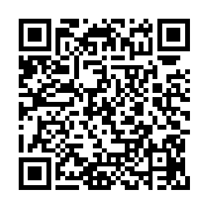 朦朦是从不冷第一本书就一直支持到现在的兄弟二维码生成