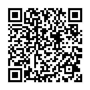 木云婷见到空中那恐怖的碰撞之后忍不住有些担忧的说道二维码生成