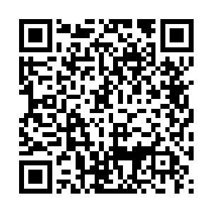 木冬刚刚便是听大夏的人为了这个人的到来而欢呼二维码生成