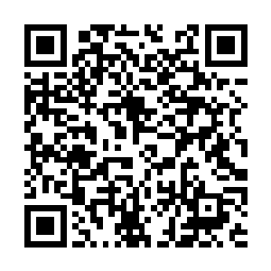 木劲峰上一次去流云阁时就已经买了不少紫浆果了二维码生成