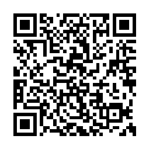 木头枪托还是带着强烈的后坐力撞击巴克的右肩二维码生成