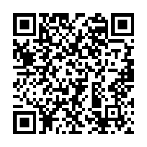 木属性元力勾画的聚元符印只能让修炼的武者修炼二维码生成