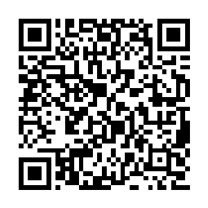 木工师傅和砌匠师傅在树两头用缠上红纸的绳子二维码生成