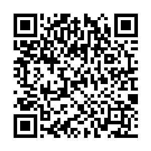 木希尘五人更是震惊的看着夜染五人杀敌的一幕幕二维码生成