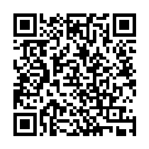 木心雅自然要代表万妖宫出征五国争霸赛她摸摸小白的头道二维码生成