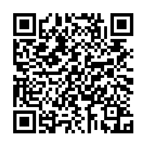 木星的巨大引力扰乱了地球远方的彗星和附近小行星的轨道二维码生成