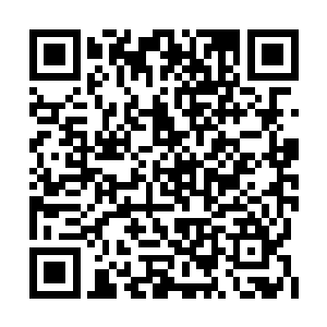 木林打量了番被自己囚困的星儿公主和月儿公主二维码生成