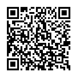 木槿却是在听了蓝优所说的水域域内的事情之后二维码生成