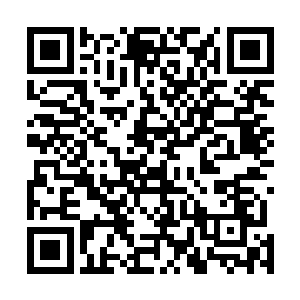 木槿和宋辰砂还有好几人专心研究了所有关于人界的玉简二维码生成