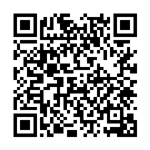 木槿黝黑的看不出感情的双眸紧紧地注视着张潇晗二维码生成