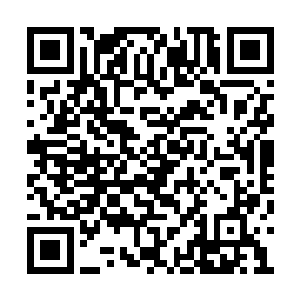 木灵一族可不止在培育灵花异草上有独特的天赋二维码生成