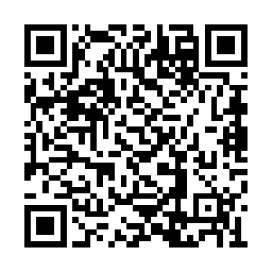 木策彬彬有礼的脸上也露出继续引以为傲的表情二维码生成