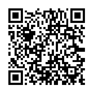 木精灵一族在这远古种族后裔遍地的死域还是很扎眼的二维码生成
