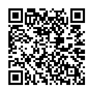 木萦一直以来对于浮灵那边的存在都不是太过忌惮二维码生成