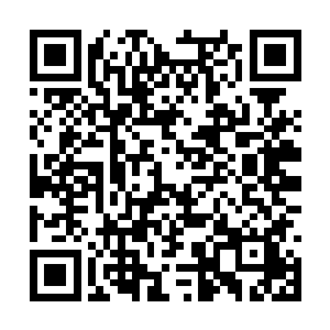 木萦也在这时看到了一处大石头旁边躺着一个人影二维码生成