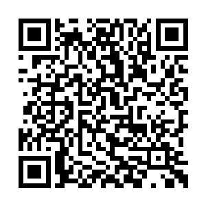 木萦刚想收回神识朝他那个地方走过去与他会合二维码生成