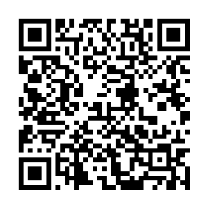 木萦收下心头血和那个妖兽尸体的举动他也看到了二维码生成