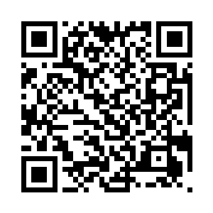 木萦此时正处于整个山林的中间偏东处二维码生成