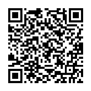 木萦看到它的第一眼竟然不是如别人那般嫌弃与厌恶二维码生成