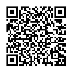 木钟长老那双苍老的目光望着剑尘逐渐消失在圣光塔内的背影二维码生成