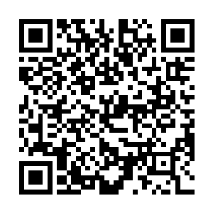 未来到底要怎么在才能在这条以力证道的路上走得更远二维码生成