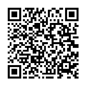 未来却肯定会成为国产电影栋梁的那些学生们做一些讲座二维码生成