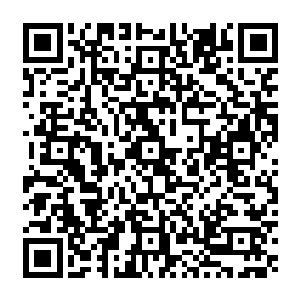 未来可以改变人类改变银河命运的大公司的真正boss会是一个今年才读大二的年轻人二维码生成