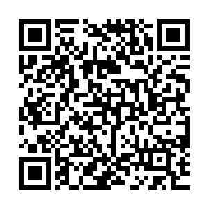 未来可以走的路也更加的漫长……练武是非常需要积累的事情二维码生成