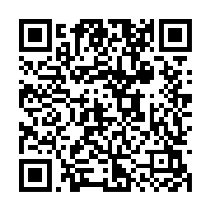 未来呈现在镜头面前的表演就是要接受观众审视的二维码生成