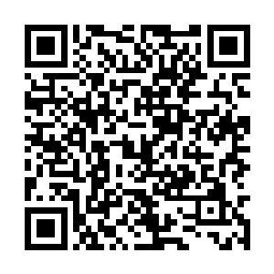 未来落星宗能够出现一位可以抗衡四星真人的天才二维码生成