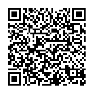 未来这个世界上最伟大的门派名字就以这种开玩笑的方式被确定了下来二维码生成
