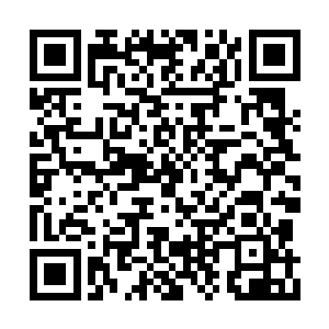 未真大概有些明白对方为什么不及时来救自己了二维码生成