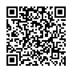 未能在孟奇拍死不仁楼楼主后的刹那空隙趁机进攻二维码生成