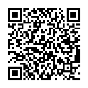 末了大娘送回刀锋又连同那个铁盒一起交到了我手中二维码生成