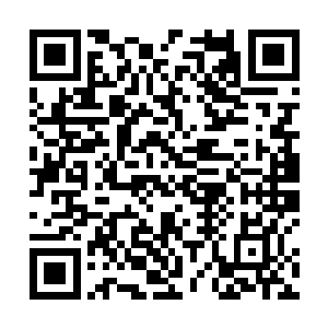 本书由清哑退亲引发和谢家第一次交锋为第一波大情节二维码生成
