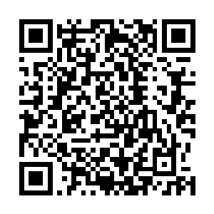 本仙倒想看看你怎么用区区人之力破本仙这万千巨山之力二维码生成