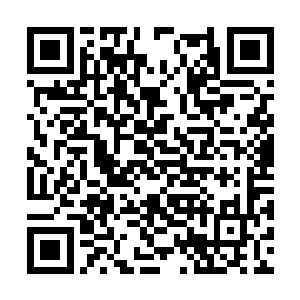 本以为上次能够得见这诸位大人尊容已是天佑之幸二维码生成