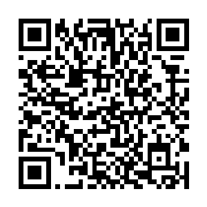 本以为摩那耶会狠狠训斥他们一通成事不足败事有余二维码生成