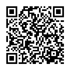 本以为生命之树在听到自己说了几个之后就会打断自己的话二维码生成