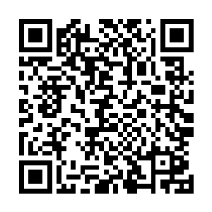 本以为经过这么长时间的锻炼之后他们已经成为真正的战士二维码生成