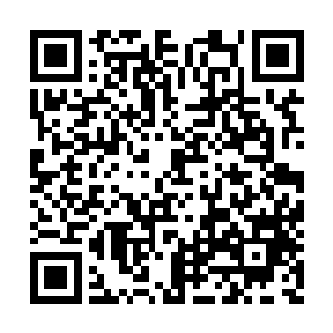 本以为能够跟往日的同窗舍友继续回忆大学生活二维码生成