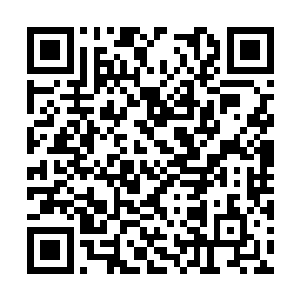 本以为这两个傻丫头怎么着也要下午以后才能回来二维码生成