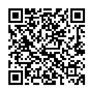 本以为魔兽森林经过了我们龙家的探索之后已经没有什么危险了二维码生成