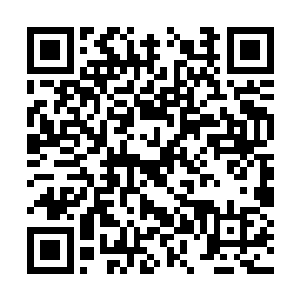 本体加分身六尊擎天巨人直接拦在了食脑兽的面前二维码生成