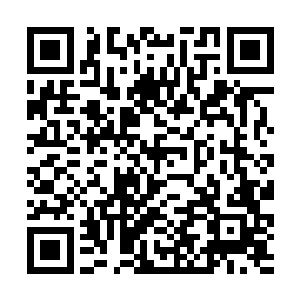 本体和其他外来修士全都被巨力拉扯着吸入裂缝之中二维码生成