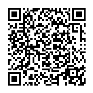 本体复苏的峒箫并没有因为重获不死之意与筋骨而超越张潇晗和千杳多少二维码生成